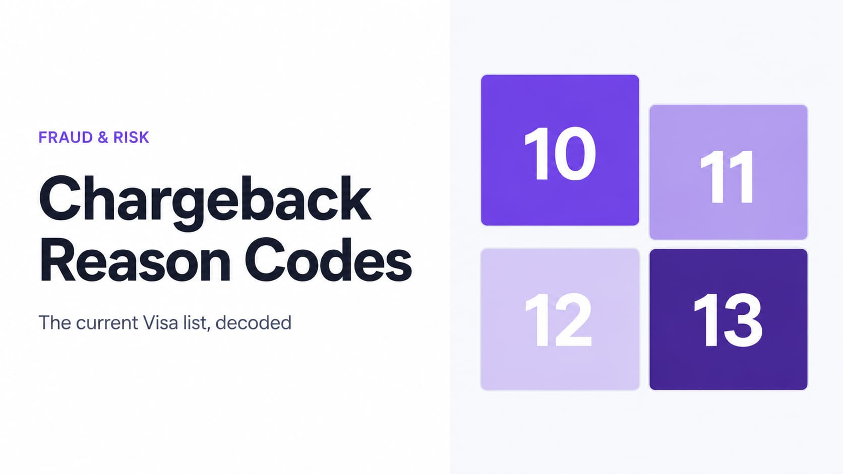 Chargeback reason codes cover showing the four Visa dispute categories numbered 10, 11, 12, and 13.