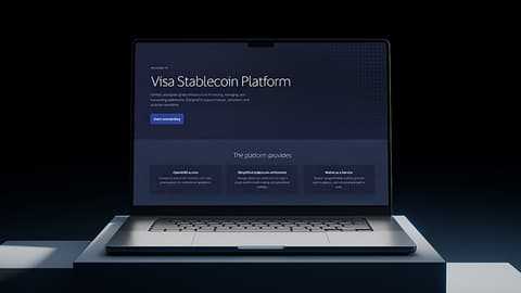 Visa Stablecoin Platform for minting moving and managing stablecoins