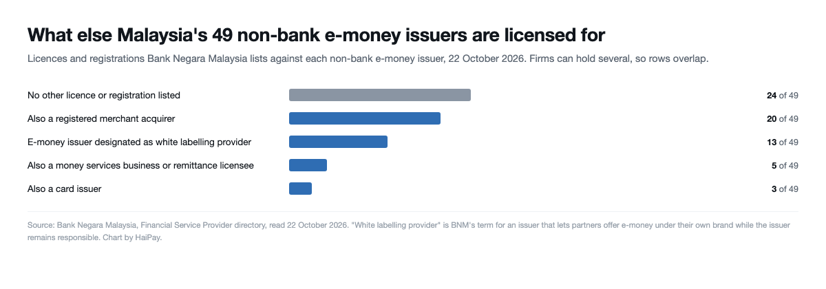 Bar chart of other licences held by Malaysia’s 49 non-bank e-money issuers: 24 with none, 20 also merchant acquirers, 13 white labelling providers, 5 remittance licensees and 3 card issuers